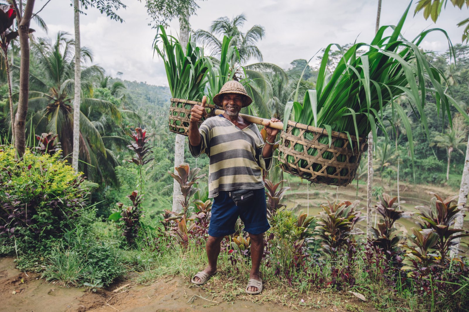Farmer carrying a yoke on his shoulders in Bali
